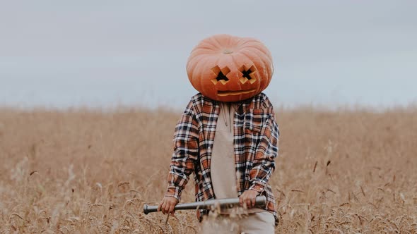 A Woman or a Man with a Big Halloween Pumpkin on His Head in a Shirt Behaves Funny on Camera Fooling