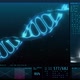 3D animation graphic of human DNA helix construction with slow motion rotating - VideoHive Item for Sale