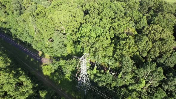 An aerial view over tall green trees on a sunny day on Long Island, NY. The camera tilted down, doll