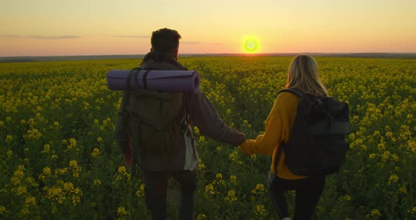 A Guy and a Girl Are Walking Through a Field at the Sunset