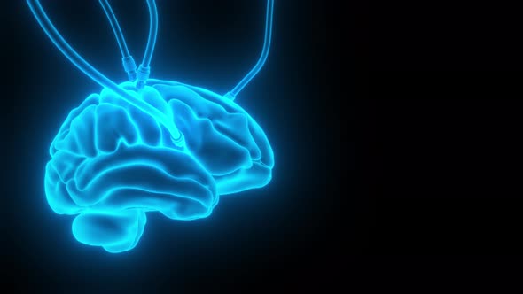 Artificial Intelligence. image of the brain with different dachiks connected