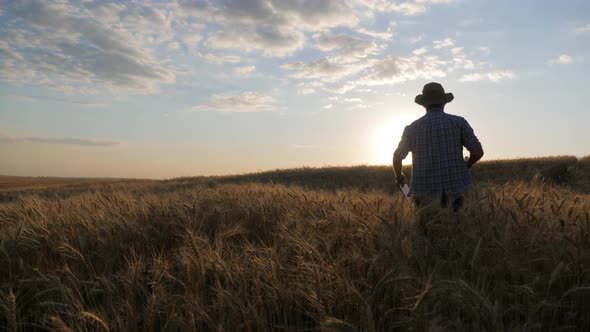 Young Handsome Farmer in Field Holds Smartphone, Farmer Using Smartphone Management on Farm