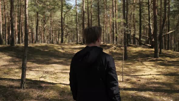 A Man Strolls Through a Sunny Summer Forest on a Beautiful Day