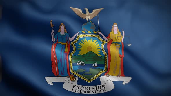 New York State Flag Front