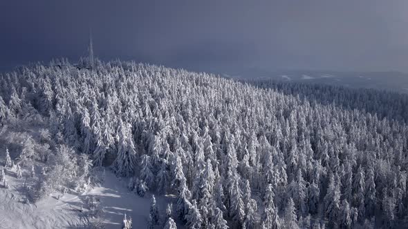 Aerial View of Snowed Forest in Mountains on Sunset