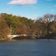 Central Park NYC Autumn Foliage  - VideoHive Item for Sale