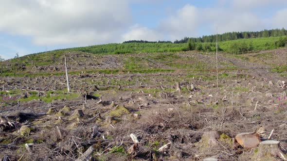 Agroforestry Following Deforestation of a Woodland Plantation Habitat Flyover