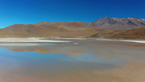 Aerial View of Pink Lake with Flamingo Bolivia Altiplano