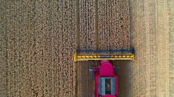 Combine harvester from above. 