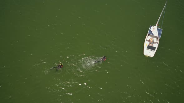 Aerial view of divers swimming