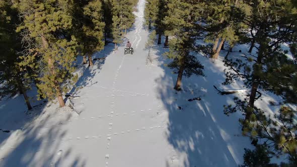 ATV Driving Colorado 4K