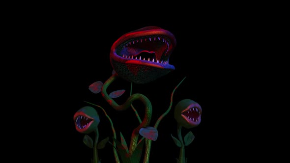Horror carnivorous plant with alpha
