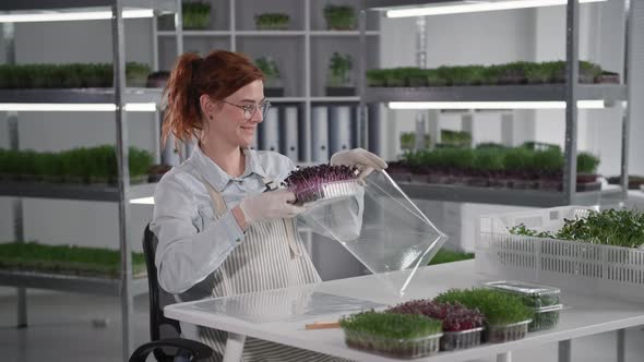 Micro Green Business Charming Woman Packs in Container for Delivery or Sale Sitting on Against Racks