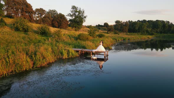 The Bride and Groom are Standing By the Lake on the Bridge and a Swan is Swimming Near Them at