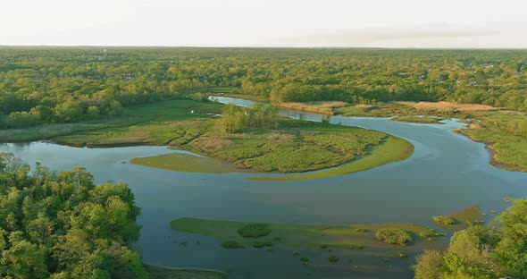 Aerial View of a Green Forest River in Summer