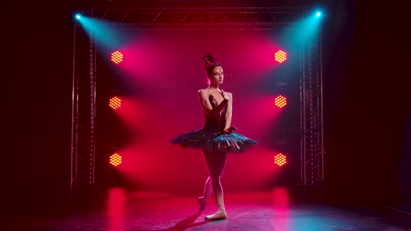 Graceful Ballerina in a Chic Image of a Black Swan. Young Beautiful Girl in a Black Tutu with Red