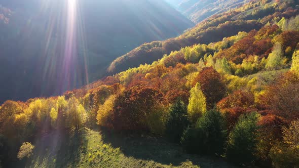 Aerial View of Autumn Rural Landscape With Colorful Forest and Countryside Homestead