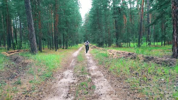 Front View of Cyclist Crossing the Forest on High Speed