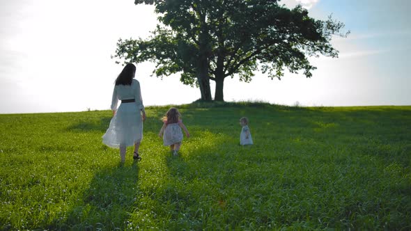 Young Mother and Two Little Daughters Walking Across the Field Towards Lonely Oak Tree with Swings.