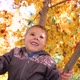 The Child Climbed a Tree - VideoHive Item for Sale