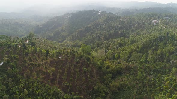 Mountain Landscape Farmlands and Village Bali Indonesia