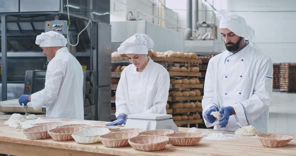 Three Charismatic and Stylish Bakers Woman and Men