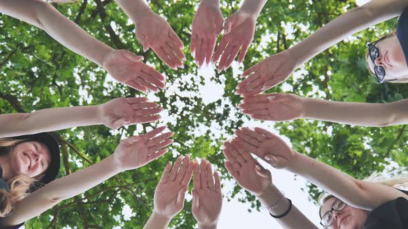 A Group of Girls Make a Circle with Their Palms Against the Background of Tree Branches