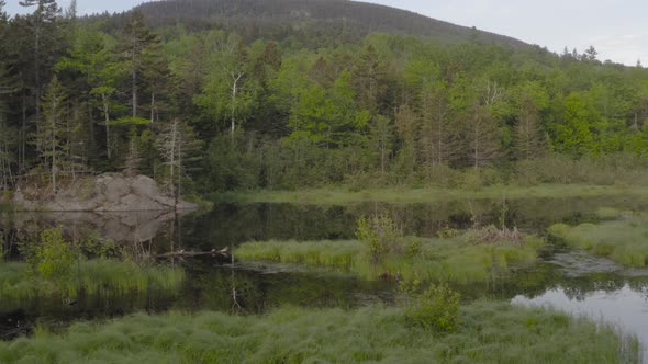 Low angle aerial push forward over Pleasant River, Maine early morning wilderness