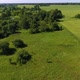 Drone Shot of Summer Field - VideoHive Item for Sale