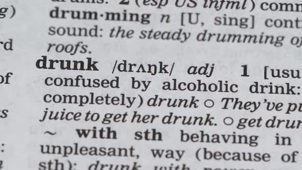 Drunk Word Definition in English Dictionary, Unhealthy Alcohol Addiction, Abuse