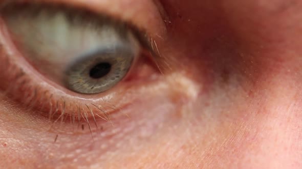 Mans Eye Close Up. The Human Eye. Eyelid And Eyelashes