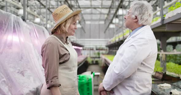 Side View Portrait of Satisfied Agronomist Shaking Hand of Scientist in Glasshouse. Senior Caucasian