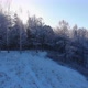 Aerial Shot of Winter Forest - VideoHive Item for Sale