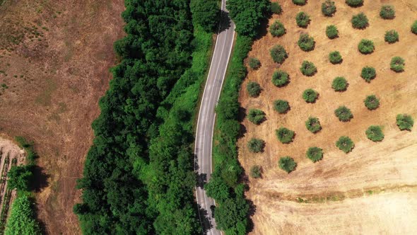 Aerial Top View of Tuscan Countryside Shot with Drone at Summer Time