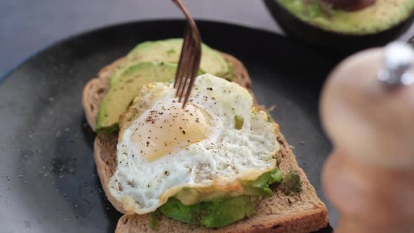 Avocado Brown Bread Egg and Rosemary on Table