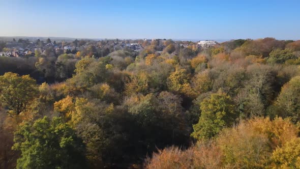 Autumnal winter forest trees beside Belgium town suburbs, aerial view