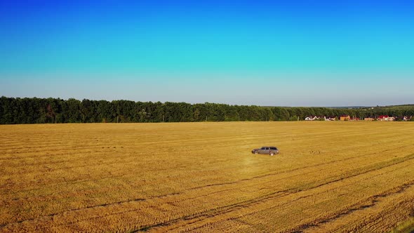 Beautiful golden field in the rural place and a car driving in a circle