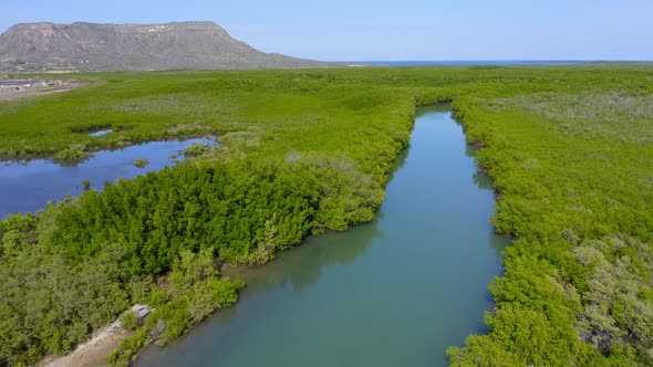 Drone flying over mangrove forest at Monte Cristi, Dominican Republic. Aerial forward