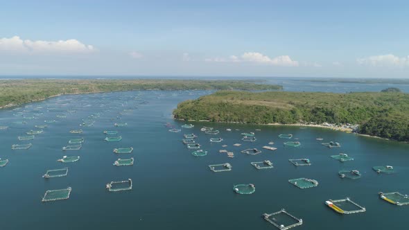 Fish Farm in the Sea