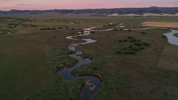 Flying over small river through pasture with horses grazing