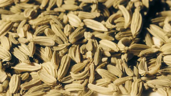 Cumin Seeds