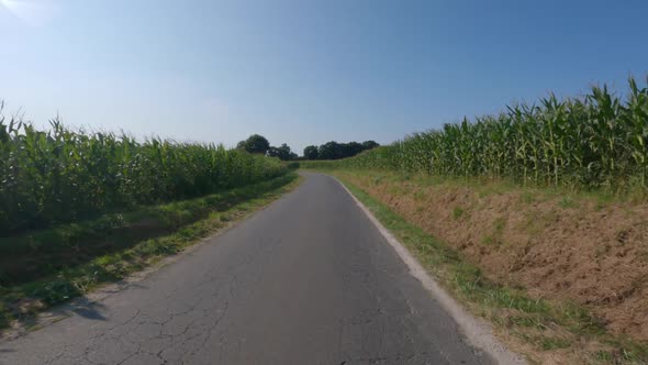 Agribusiness and Agriculture Farmland in France Brittany Region