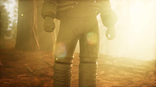 Lonely Astronaut in Dark Forest alt