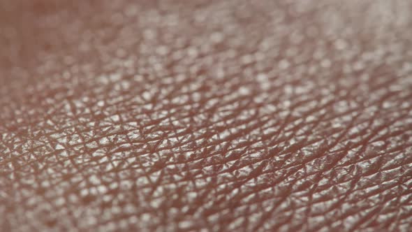 Hand Skin Texture Closeup