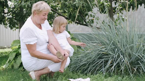 Grandmother Helping Child To Put on a Shoe in the Garden