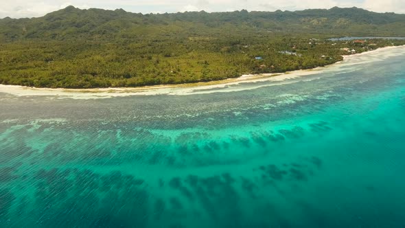 Tropical Beach and Turquoise Sea Philippines,Bohol