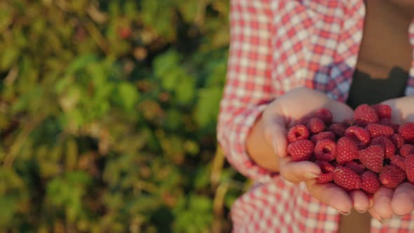 Girl Holds Raspberries in Her Hands, Close-up