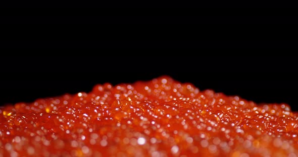 A Pile of Delicious Red Caviar Spins Slowly. 