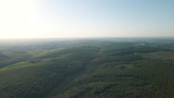 Drone Flight View Above Green Forest And Agricultural Land Landscape at Sunset