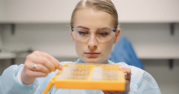 Scientist Is Looking at Plates with Bacteria at Laboratory